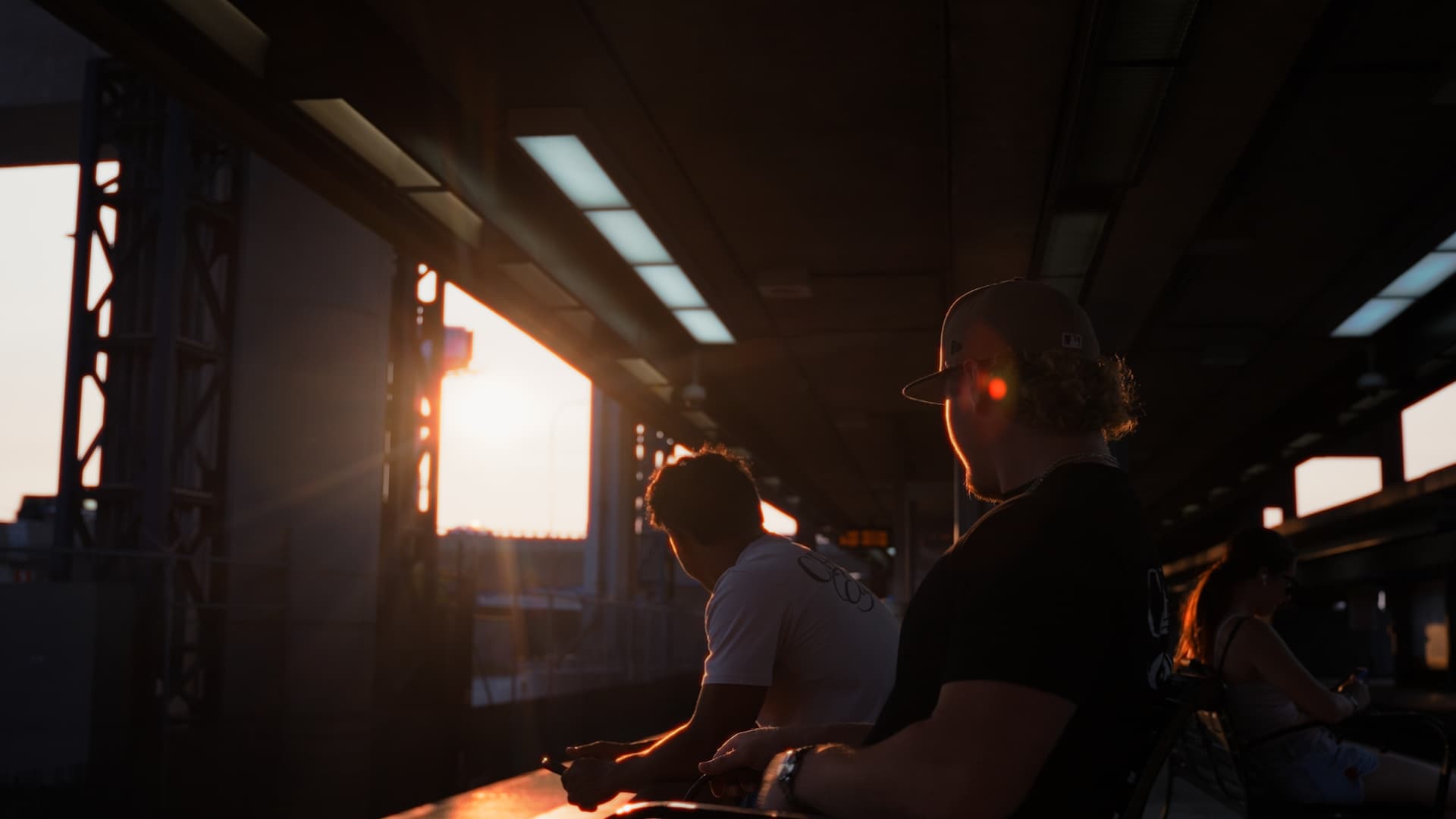 Chedda watching the sunset from a stadium concourse